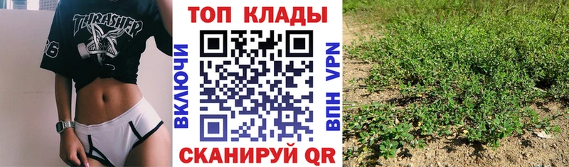 Наркошоп Волгореченск hydra   COCAIN  СК  Амфетамин 