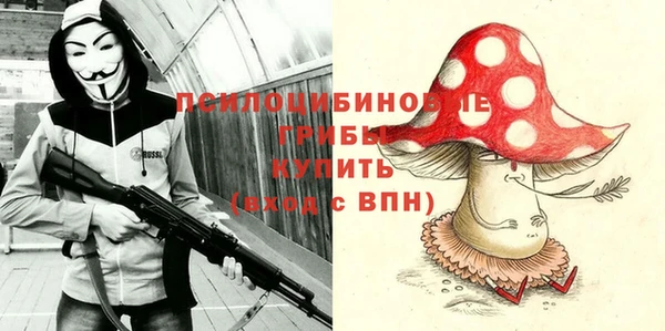 ALPHA PVP Богородицк