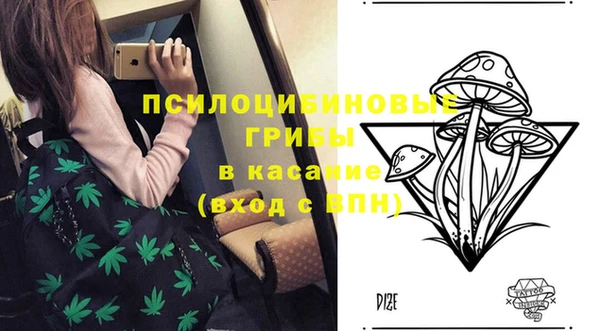 кокаин перу Богданович