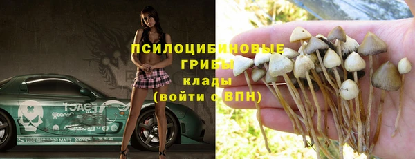 ALPHA PVP Богородицк