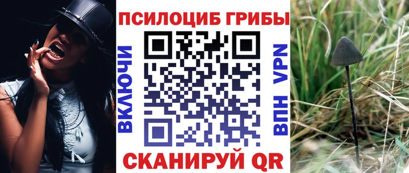 Галлюциногенные грибы ЛСД  Волгореченск 